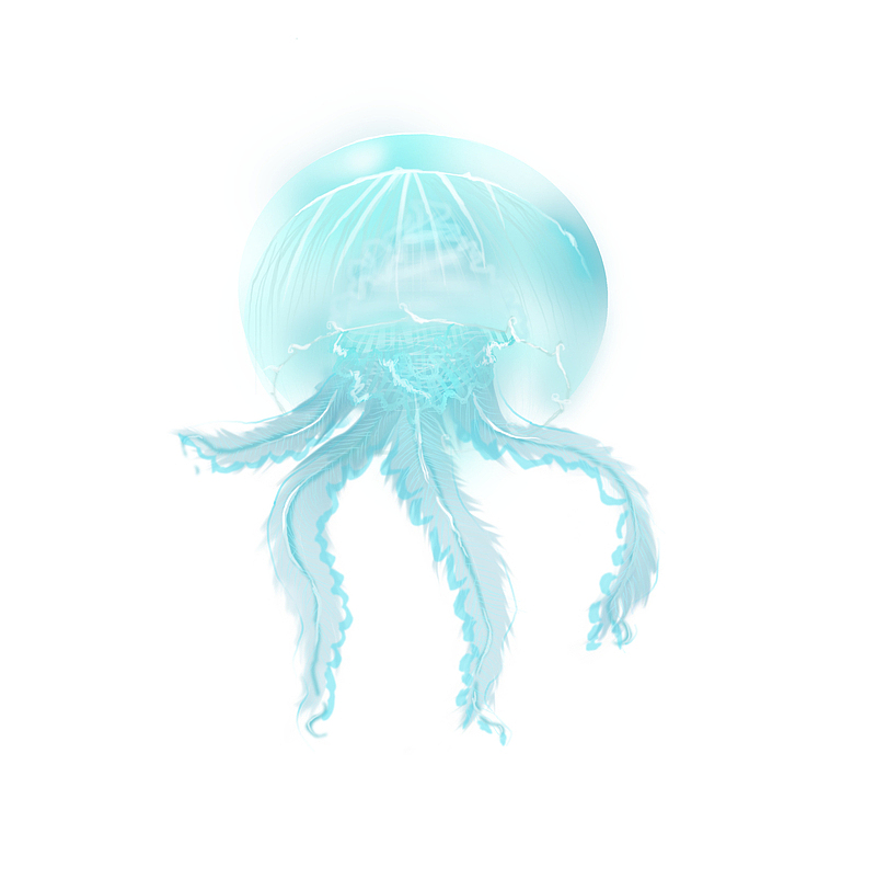 海洋生物——水母
