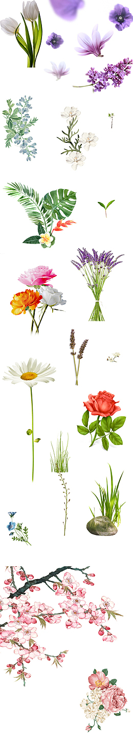 花草植物合集