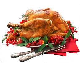 感恩节的烤火鸡