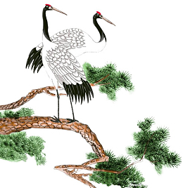 两只白色仙鹤