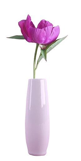 花瓶里的小红花