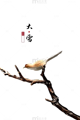 大雪树枝雪花鸟