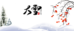 大雪雪花柿子树雪地