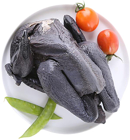家禽 肉类 乌鸡 鲜乌鸡
