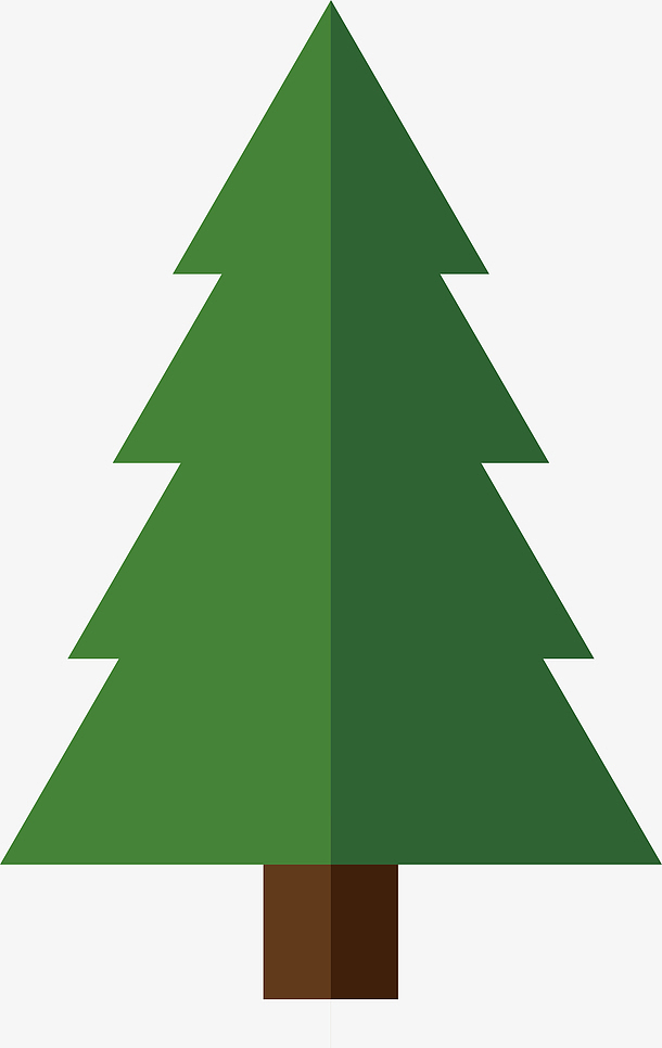 圣诞树 绿 松树 树 冬天 圣诞节