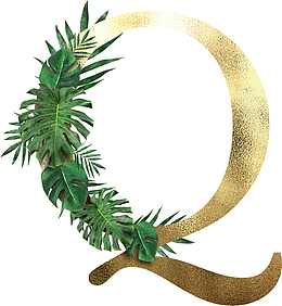 创意植物字母q