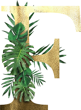 创意植物字母F