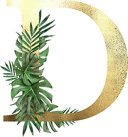 创意植物字母D