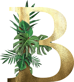 创意植物字母B