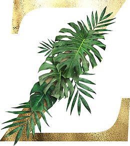 创意植物字母Z