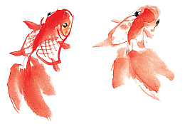 金鱼 水墨 卡通  插画 素材