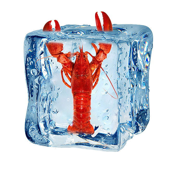 虾在冰块里挥舞它的钳子