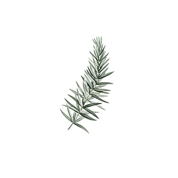 手绘绿色水墨风格花草元素