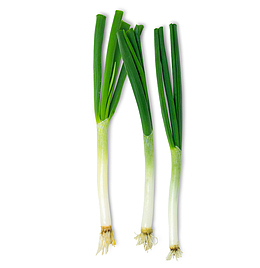 大葱 葱 蔬菜 日本大葱