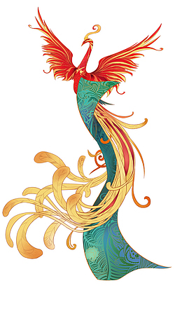 插画 孔雀 节日