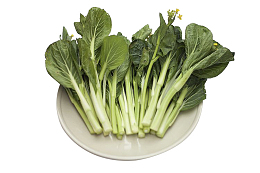 蔬菜大叶青菜类