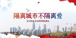 抗击新型冠状病毒城市鸽子绸缎