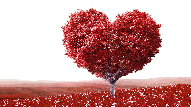清新红色爱心树