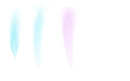 彩色羽毛组合PNG