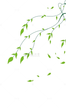 柳枝江柳树春意盎然