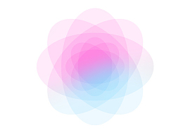 梦幻马卡龙色花朵