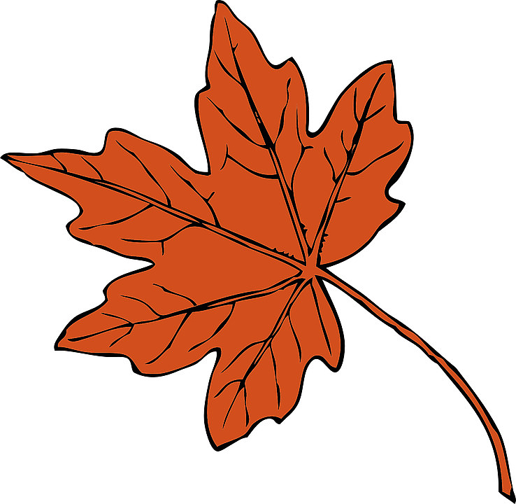 绘制创意红色叶子