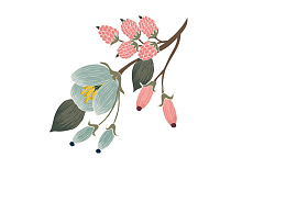手绘花朵素材水彩