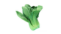 绿色蔬菜油菜上海青