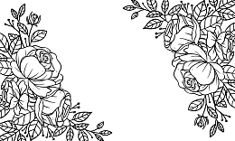 线描花卉植物海报边框Png