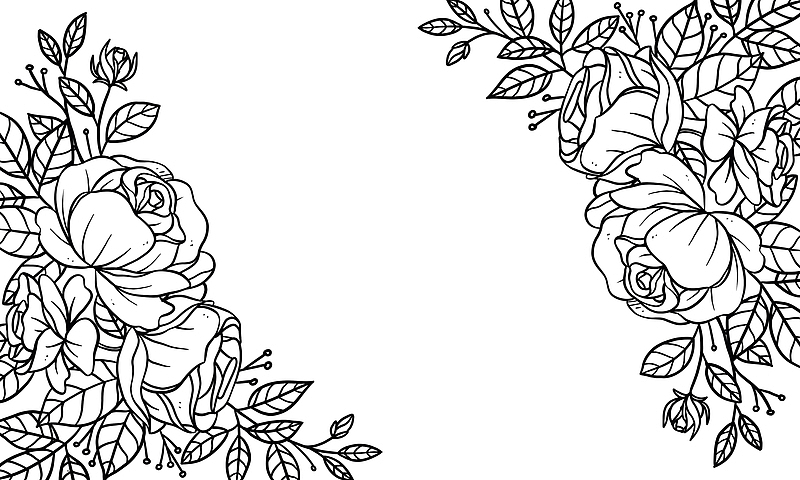 线描花卉植物海报边框Png