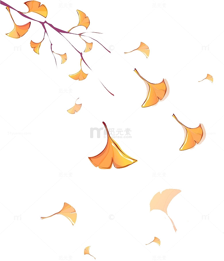 银杏树落叶秋天