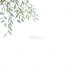 一枝绿色杨柳枝