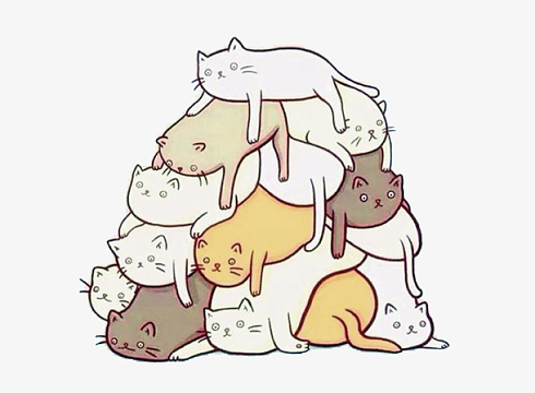 抱团休息的小猫咪