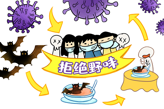 新冠病毒拒绝野味卡通手绘