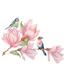 工笔画花鸟2
