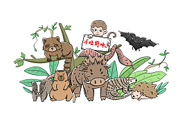 疫情不吃野味知识卡通手绘人物