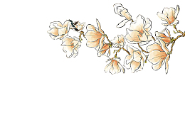 白色木棉花中国风