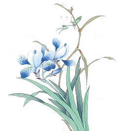 兰花图片素材元素