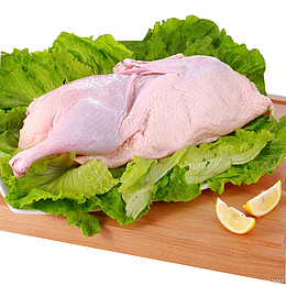 新鲜的禽类鸭肉