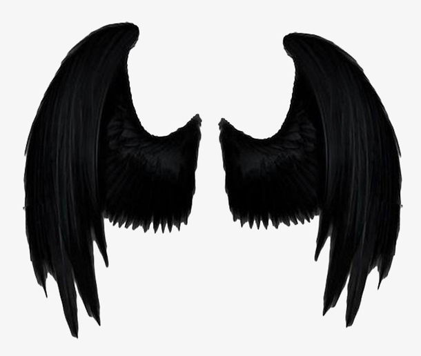 黑天使和白天使的头像图片