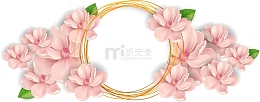 粉色花卉花环边框