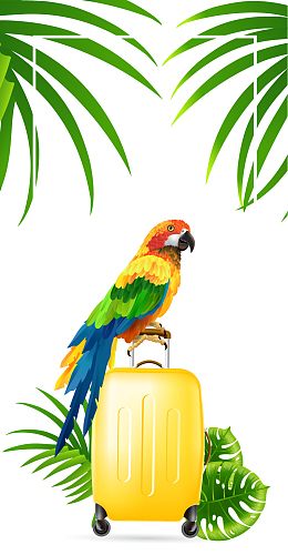 夏日旅行边框