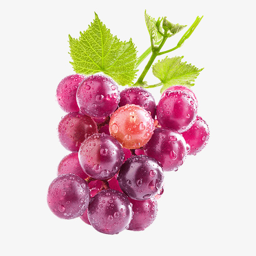 一串新鲜的紫葡萄