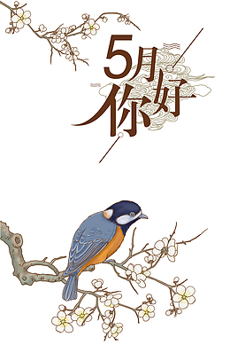 五月你好树枝花鸟
