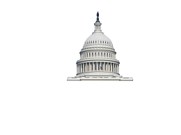 美国元素2020