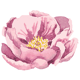 水彩唯美森系花卉Png 2