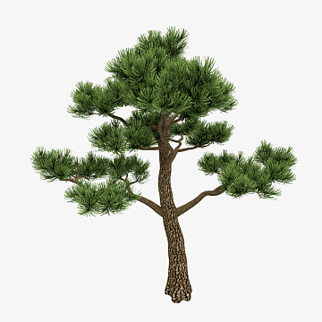 松树 矢量素材中国风工笔png冬季风光背景png绿地草原免抠素材psdpng