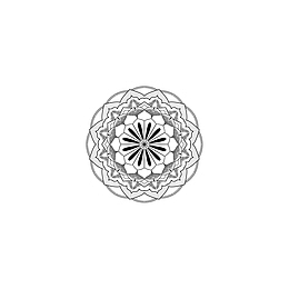 菊花曼陀罗花矢量图案