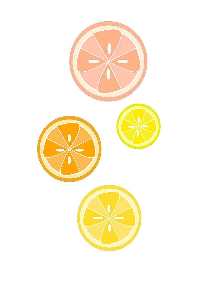 柑橘类水果切片