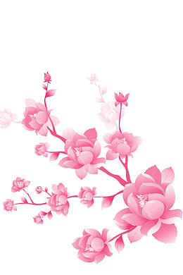 一枝梅花装饰